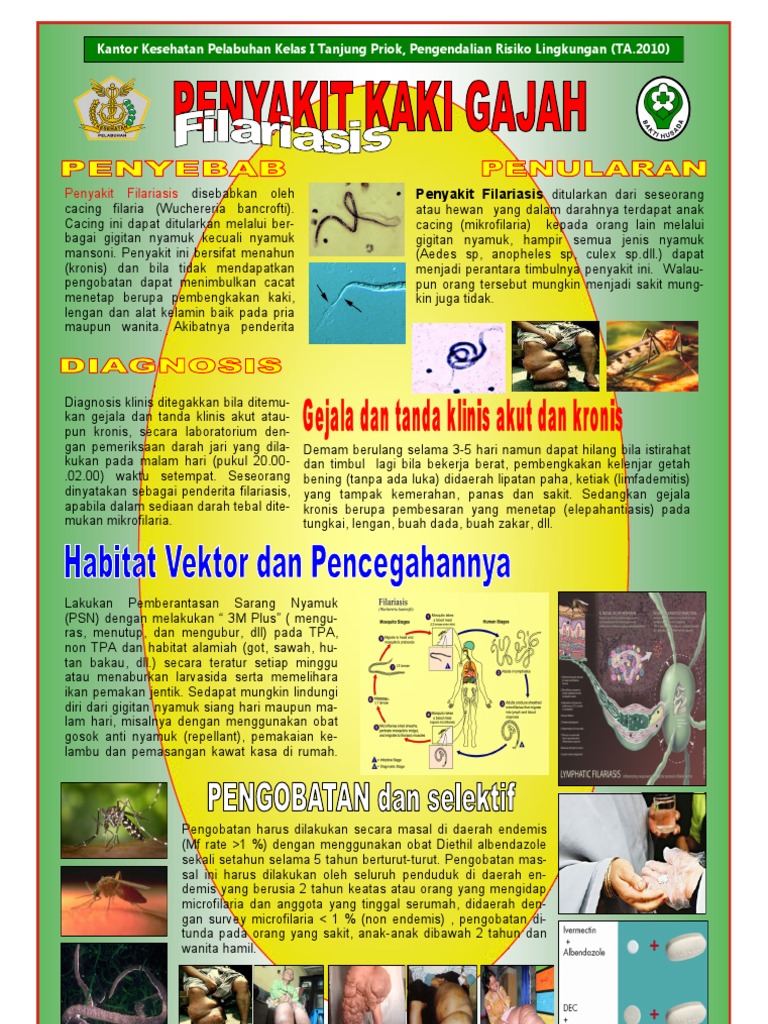 Poster Penyakit  Kaki  Gajah  FILARIASIS Bidang PRL Tahun 2010