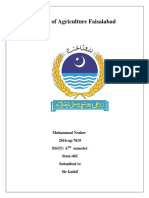 University of Agriculture Faisalabad: Muhammad Nosher 2016-Ag-7819 BS (IT) 6 Semester State-402 Submitted To Sir Kashif