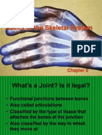 Joints of The Skeletal System