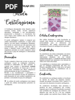 Resumo Tecido Cartilaginoso