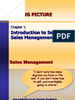 The Big Picture: Introduction To Selling and Sales Management