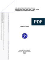 2013apa PDF