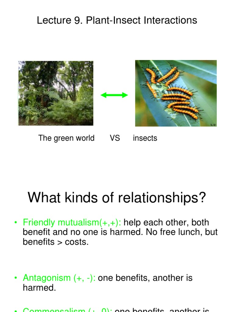 Plant-Insect Interaction Dynamics | PDF | Pollinators | Flowers