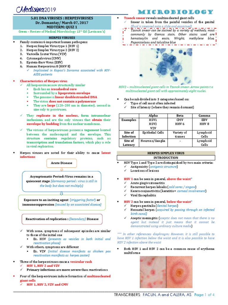 5.01 DNA Viruses | PDF | Herpes Simplex | Virus