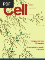 Download Cell 101029 by Prasath SN41398684 doc pdf