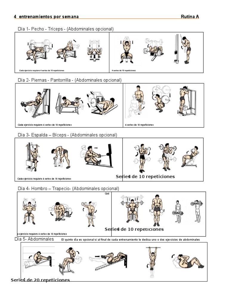 Rutina Gym 4 Dias Rutinas para Gym | PDF | Hombro | Medicina CLINICA