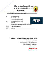 INFORME-Partiuclas-Magneticas-Cuestionario-2.docx