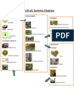 Kiwifruit Systems Diagram