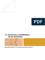 Funciones y metabolismos de los nutrientes.pdf