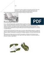 Centrales Hidroelectricas