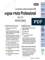 DPP 3 13 0 M Im Es PDF