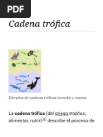 Cadena Trófica - Wikipedia, La Enciclopedia Libre PDF