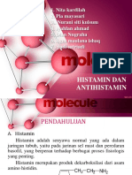 Histamin Antihistamin