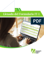 InstructivoLlenadoIT-1.pdf