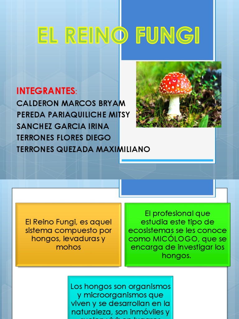 El Reino Fungi | PDF | Hongo | Biología