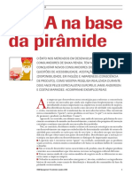 AAAA_na_base_da_pirâmide.pdf