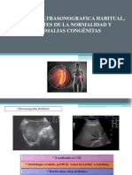 Anatomia Ultrasonografica Habitual, Variantes de La Normalidad Y Anomalias Congénitas