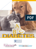 Libro Abc Diabetes Neutro 1 PDF