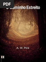 O Caminho Estreito.pdf