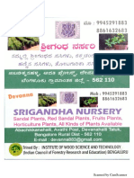 Srigandha Nursery