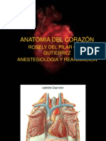 Anatomia Del Cuerpo Humano