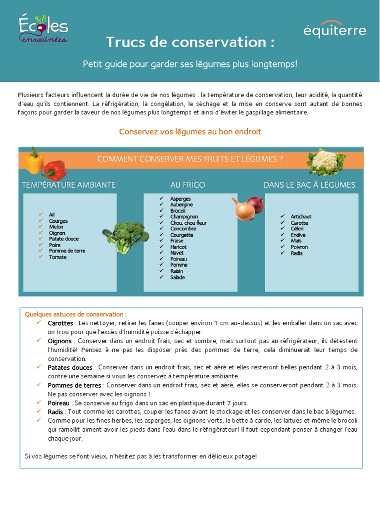 Courgette : saison, fruit ou légume, comment la conserver