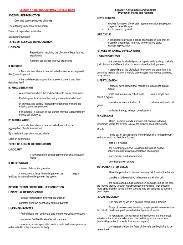 Reproduction and Development Overview | PDF | Menstrual Cycle | Sexual ...