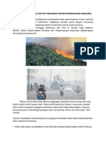 Dampak Kebakaran Hutan Terhadap Sistem Pernafasan Manusia