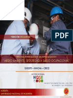 Brochure Diploma Internacional en SSOMA V1.pdf