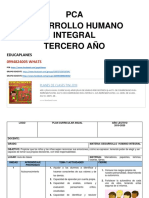 PCA DHI TERCERO.docx