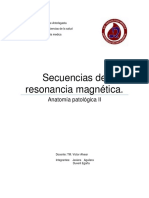 Secuencias de resonancia magnética: anatomía patológica II