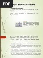 Terapia Breve Reichiana