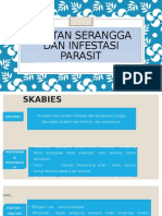 Gigitan Serangga Dan Infestasi Parasit