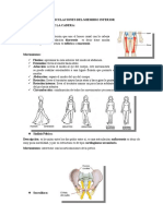 Articulaciones de Miembros Inferiores Word