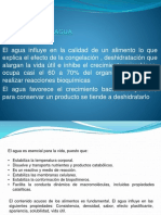 actividad_del_agua.pptx