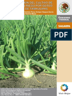 Cultivo-Cebolla.pdf