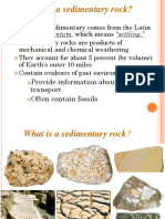 What Is A Sedimentary Rock?: Provide Information About Sediment Transport Often Contain Fossils