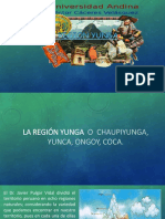 Region Yunga 1
