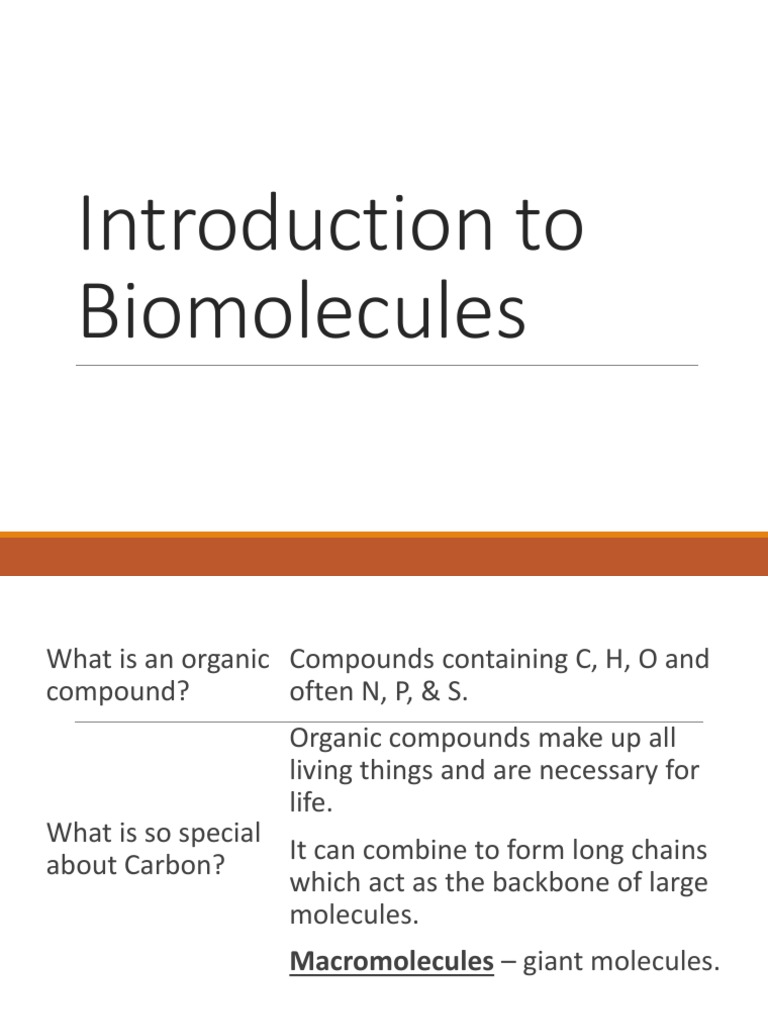 Biomolecules Guide | PDF | Fatty Acid | Fat