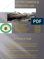 Petroleum Coke Production Process and Equipment