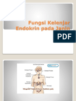 Fungsi Kelenjar Endokrin pada Janin