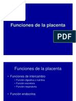 Funciones Placenta