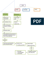 Pathway Torch PDF