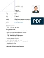 Curriculum Vitae A5