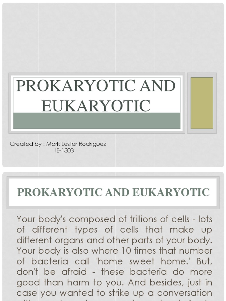 Prokaryotic vs Eukaryotic Cells Explained | PDF | Eukaryotes | Cell ...