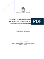 Hidrolisis de Resisduos Lignocelulosicos Derivados de La Explotacion de La Palma de Aceite PDF