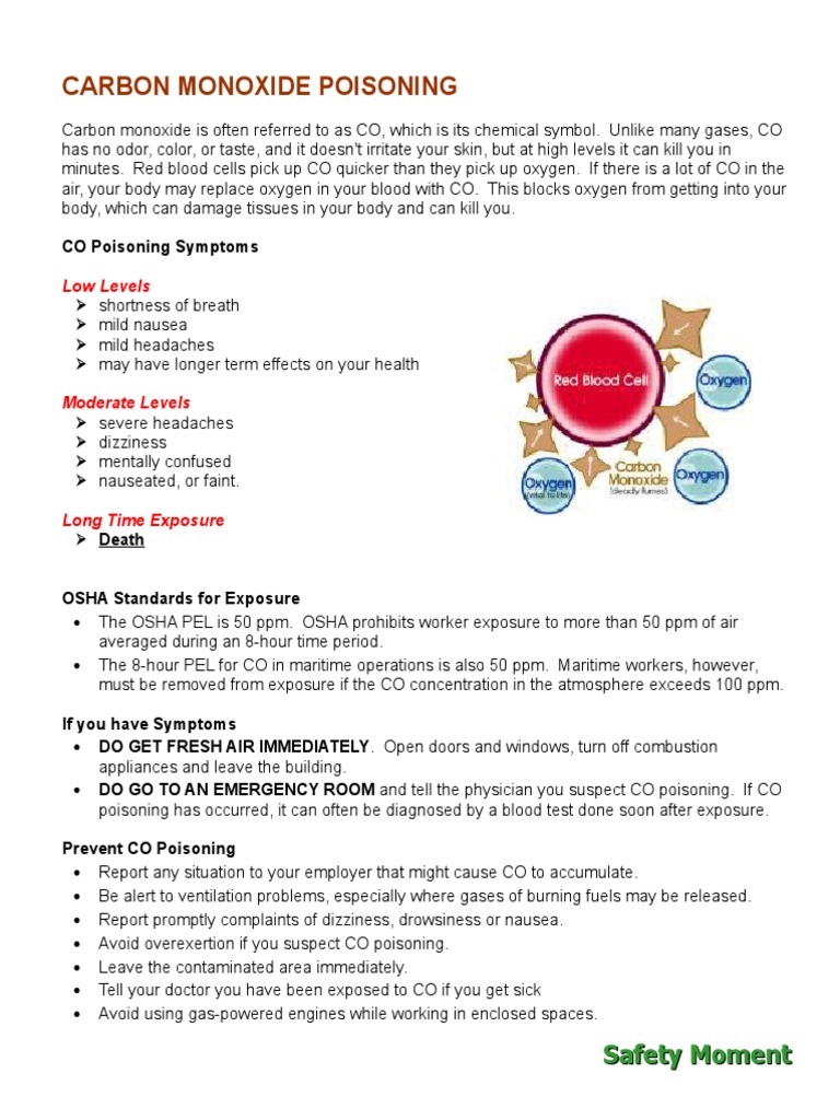 Carbon Monoxide | PDF