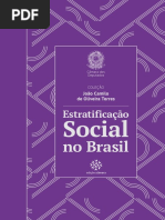 estratificacao_social_camilo.pdf