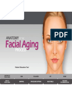 Anatomy of the Facial Aging Process