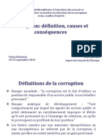 SNACTUN4.2 Corruptiondefinition, CausesandconsequencesVKalnins FRA PDF
